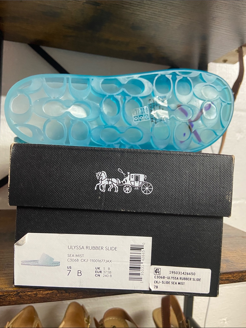 Coach Blue Translucent Rubber Slide Sandals - Picture 4 of 5
